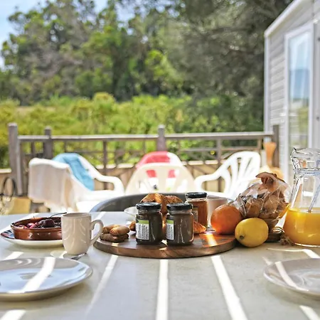 International Camping 3*