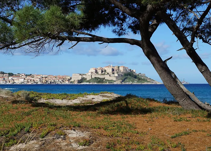 International Campingplatz