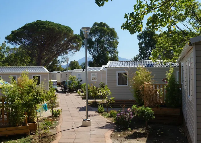 Campingplatz International