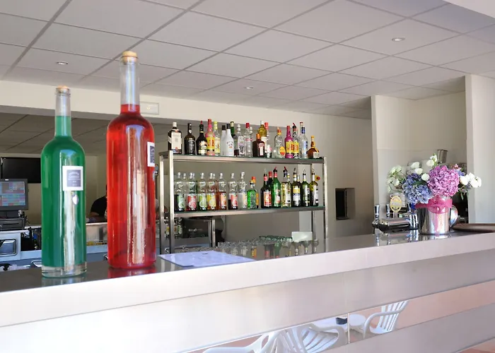 Campingplatz International