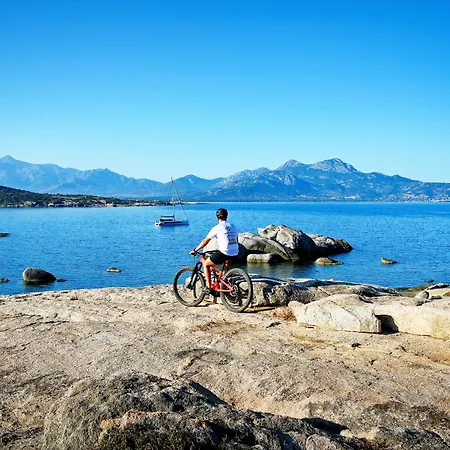 International Kemp 3*