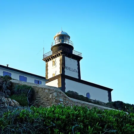 Kemp International 3*