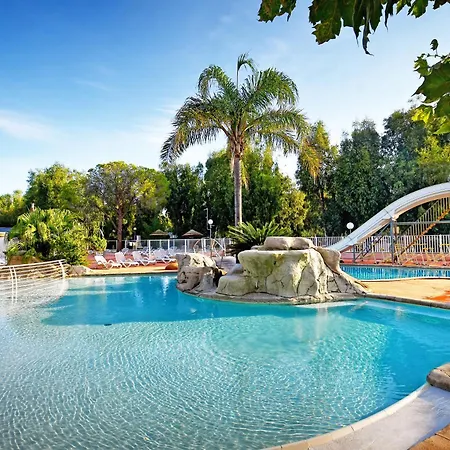 캠프장 International