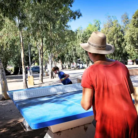 International Camping