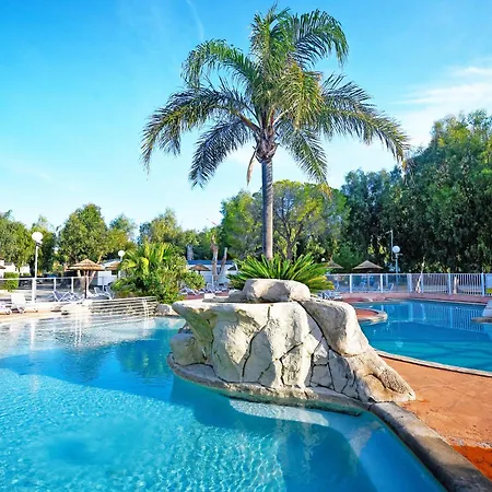 International Kemp 3*