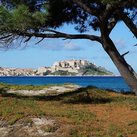 International 캠프장