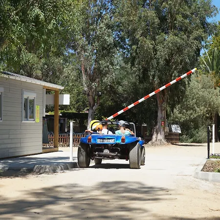 International Calvi (Corsica)