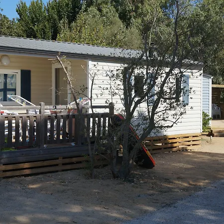 International Kemp 3*