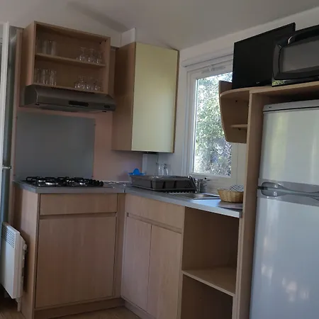 International 칼비