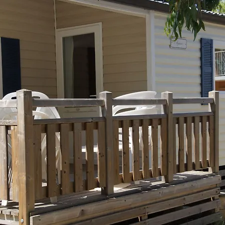 International Calvi (Corsica)