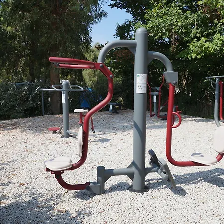 International 칼비