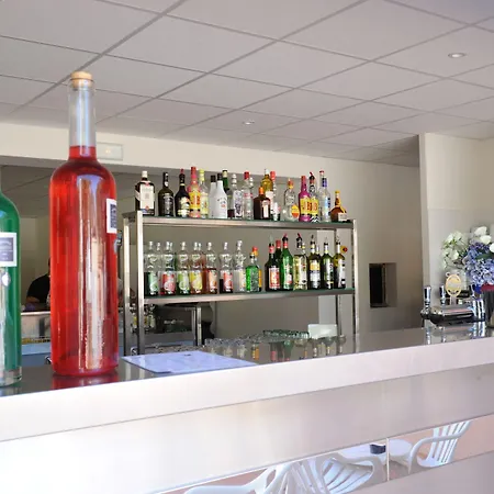 캠프장 International