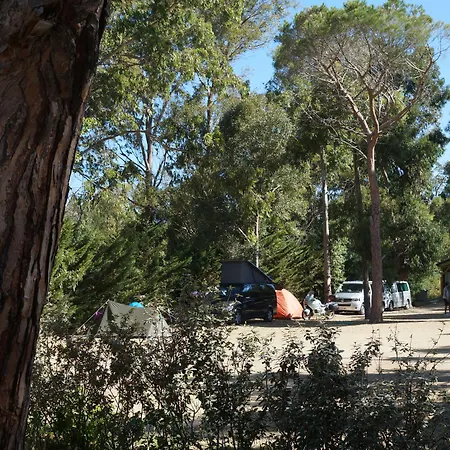 International 캠프장