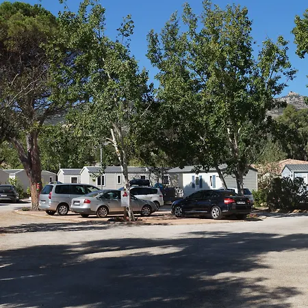 International Calvi (Corsica)