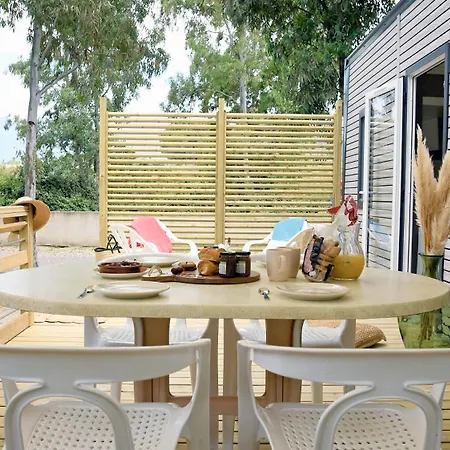 International Calvi (Corsica)