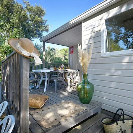 אתר קמפינג International קאלבי