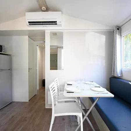 캠프장 International