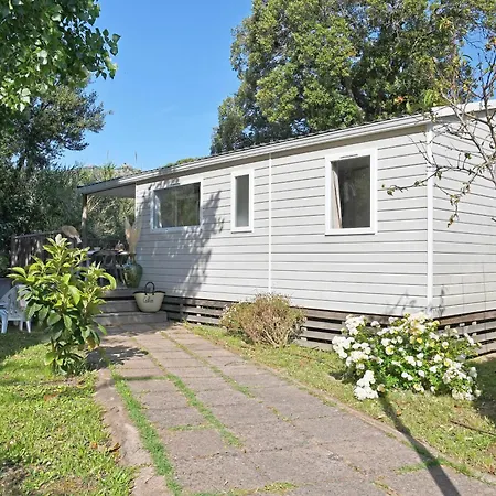 International Calvi (Corsica)