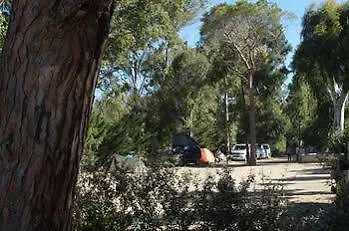 International Campsite