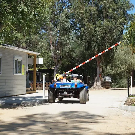 Campsite International