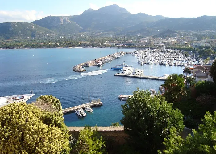 Kamp alanı International