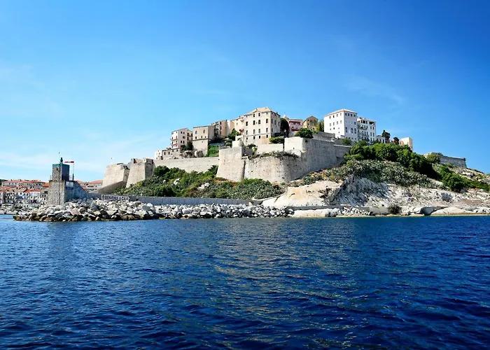 International Kamp alanı