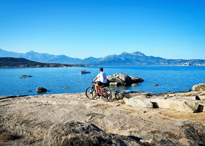 International אתר קמפינג 3*