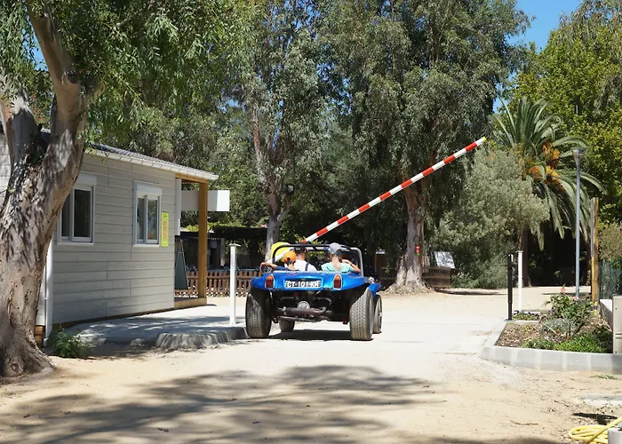 International קאלבי