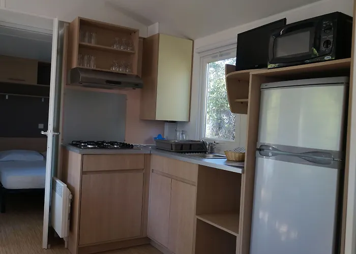 International Calvi (Corsica)