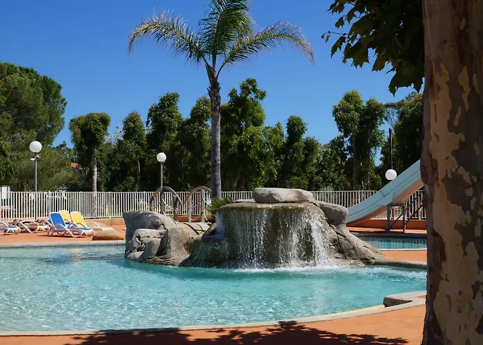 International Kamp alanı