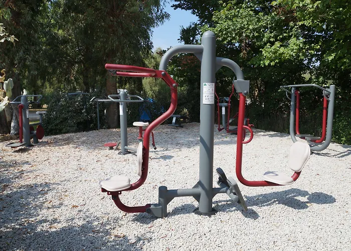 International קאלבי