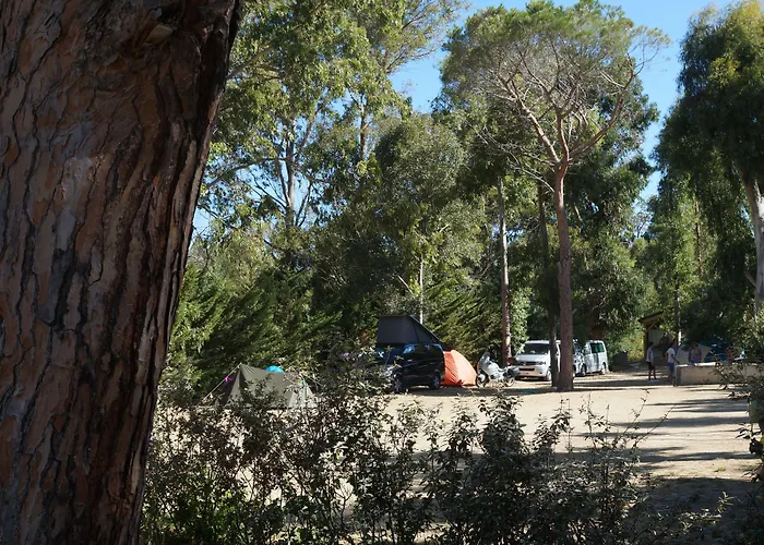 International Camping