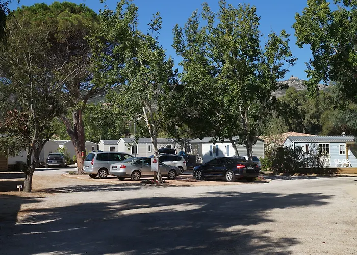 International Calvi (Corsica)