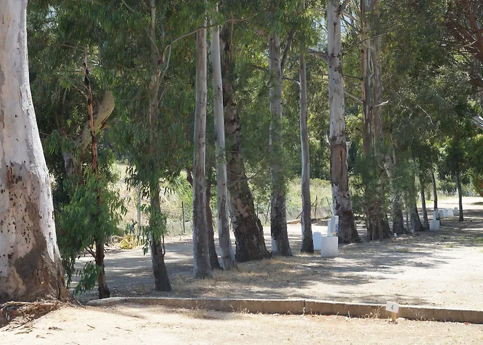 Camping International