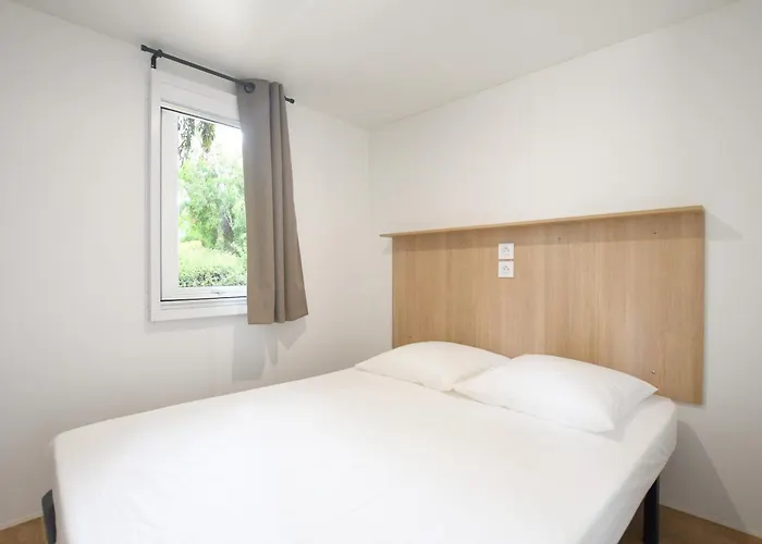 International Camping