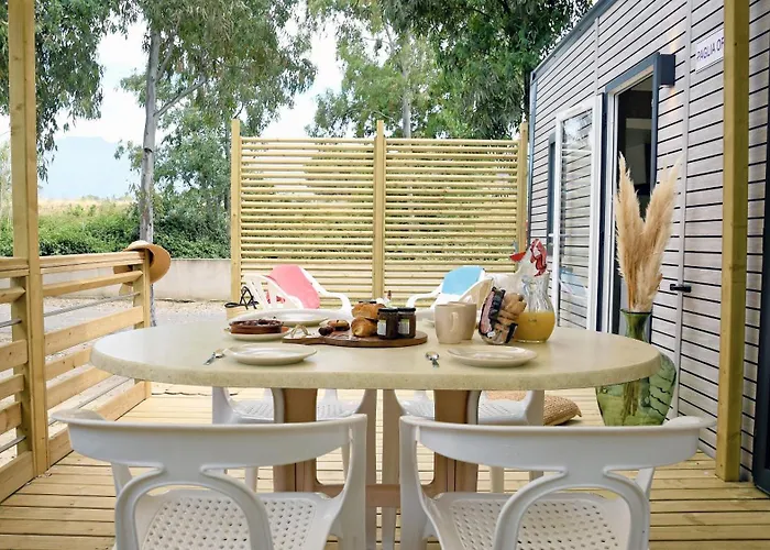 International Calvi (Corsica)