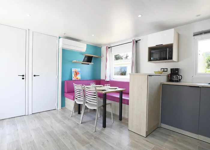 International Kamp alanı 3*