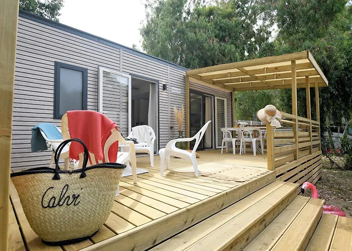 International 3* קאלבי