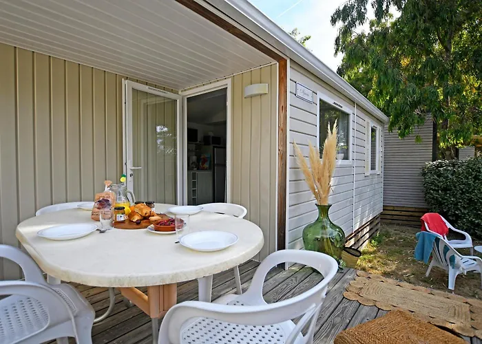 Kamp alanı International