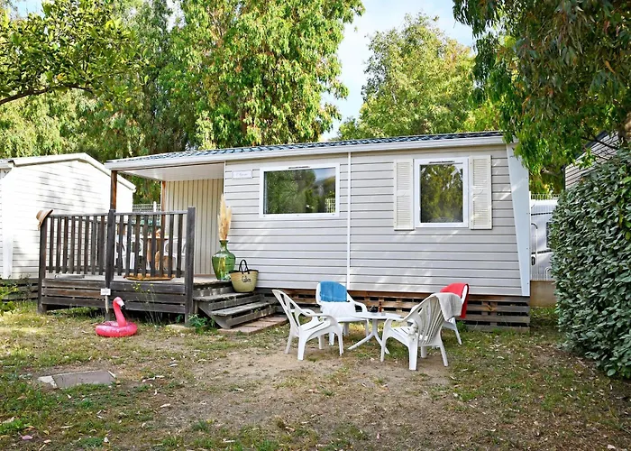 International 3* קאלבי