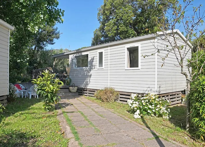 International קאלבי