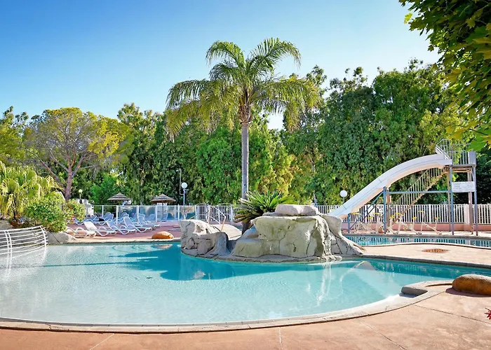 International Kamp alanı